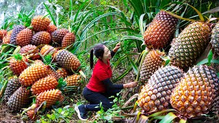 Harvesting Pandanus amp Goes To Market Sell  Gardening And Cooking  Lý Tiểu Vân [upl. by Amein]