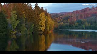 Niedersachsen im Herbst entdecken Urlaub im Harz [upl. by Kip]