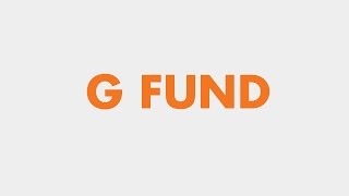 Your TSP Investment Options The G Fund [upl. by Nauqan]