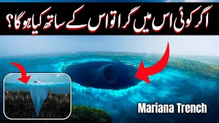 Horrible Creatures Of Mariana Trench  How Deep is Mariana Trench [upl. by Hagan801]