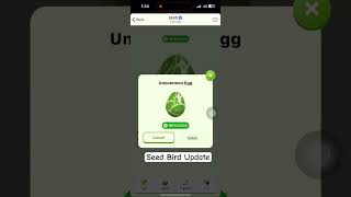 Seed Bird Update [upl. by Cohligan]