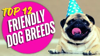 Top 12 Friendly Dog Breeds for Families [upl. by Seidel]