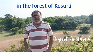 in the forest of Kesurli  केसुरली के जंगल मे ziaahmedvlogs [upl. by Volny959]