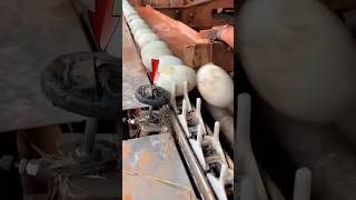 Eat fresh eggs from this machine 😮 shorts facts [upl. by Nigen955]