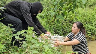 Mother and son put fish in the pond  the mysterious person helped me herd the fish [upl. by Deerc]