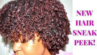 NEW HAIRCUT SNEAK PEEK CHIT CHAT  CANTU CURL ACTIVATOR CREAM FIRST IMPRESSIONS  THE CURLY CLOSET [upl. by Beverlie542]