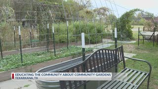 Texarkana community garden education class [upl. by Ynaffital]