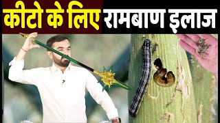 ब्रह्म अस्त्र कीटनाशक  घर पर बनाएँ ख़तरनाक कीटनाशक  how to make organic pesticide at home [upl. by Faria]