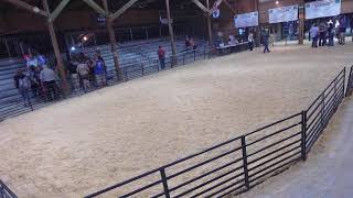 2024 Master Showmanship [upl. by Melicent429]