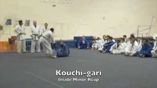 15 BASIC JUDO THROWS  LA VALLEY COLLEGE [upl. by Aneri112]