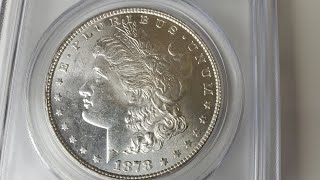 1878 Morgan silver dollar collection [upl. by Sidnarb]