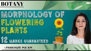 MORPHOLOGY OF FLOWERING PLANTS  NEET 2025  PANKHURI MIGLANI [upl. by Laresa380]