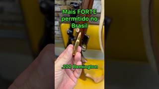 O Calibre MAIS FORTE permitido 222 Rem no Brasil shorts [upl. by Hurff743]