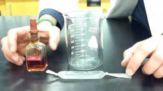 Diffusion Through a Membrane Lab  Part 1 making the model cell [upl. by Nayrda]