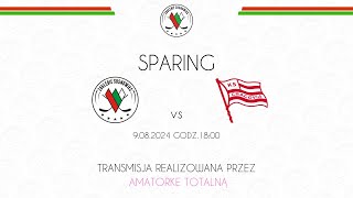 SPARING EC BĘDZIN ZAGŁĘBIE SOSNOWIEC vs COMARCH CRACOVIA 9082024 [upl. by Niltac]