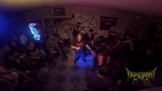 Dismembered pig  Se castran puercos old school ocotlan agosto 2018 [upl. by Wolford]