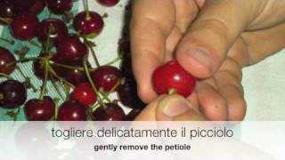 Amarene sotto spirito  Sour cherries with spirit [upl. by Stepha]