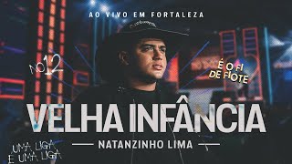 Natanzinho Lima  Velha Infância  No Doze [upl. by Stricklan242]