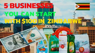 5 Businesses You Can Start With US100 In Zimbabwe [upl. by Buxton279]