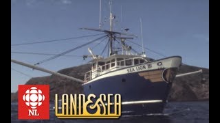 Land amp Sea Wooden vs Steelhulled Long Liners [upl. by Mcleroy810]