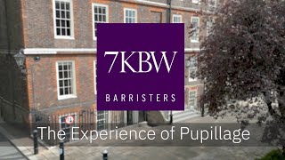 7KBW  The Pupillage Experience [upl. by Aenat668]