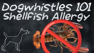 Dogwhistles 101 Shellfish Allergy [upl. by Retsam]