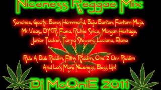 Niceness Reggae Mix 2011 Dj MoOniE [upl. by Seyah]