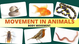 Movement in animals  Body movement  Science Class 6 Chapter 8 [upl. by Anner]