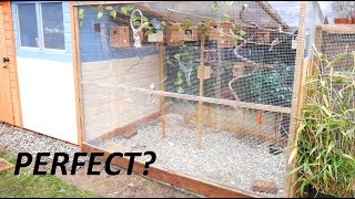 Building The Perfect Aviary [upl. by Lidda]