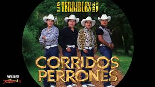 LOS TERRIBLES DEL NORTE  CORRIDOS PERRONES  Playlist Oficial 2023 [upl. by Eseela]