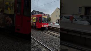 Einfahrt B80D Solo Linie 17 Fahrt Ende in Rodenkirchen  stadtbahn köln kvb [upl. by Eirahcaz124]