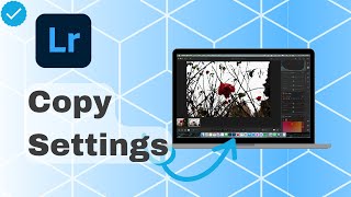 How To Copy Settings In Lightroom [upl. by Aihsiyt761]