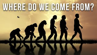 Human Evolution The Complete Story Of Our Existence [upl. by Fritzsche]