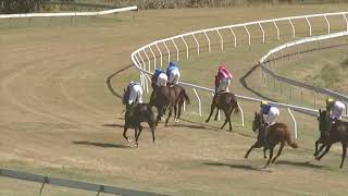 Yeppoon 20240803 Race 1 [upl. by Niemad]