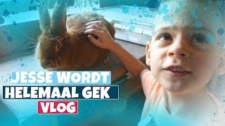 JIJ MAG DE NAAM VAN SEMS KONIJN KIEZEN KONIJNENVLOG  DE BAKKERTJES 144 [upl. by Toddy]