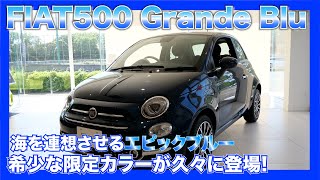 【フィアット】夏らしいカラーの限定車が久々に登場！FIAT500グランデ ブルFIAT Grande Blu [upl. by Alien]