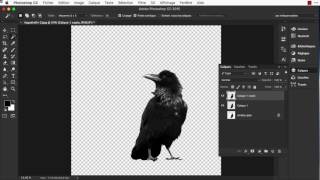 Un corbeau blanc avec Photoshop [upl. by Emelen154]