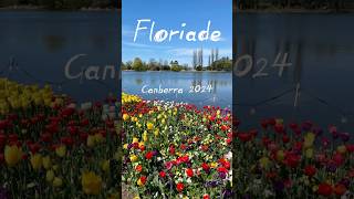 Floriade 2024  Australias Biggest Celebration of Spring floriade flowers canberra australia [upl. by Ariem]