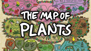 The Surprising Map of Plants [upl. by Htebazie]