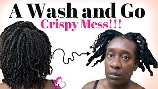 WASH n GO on 4C Natural Hair  I Made a Mess [upl. by Ynaittirb458]