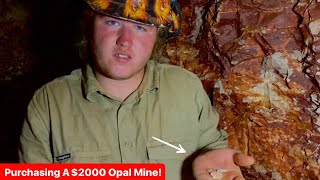 Purchasing A 2000 Opal Mine [upl. by Llennor]