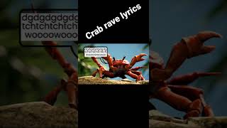 crab Rave lyrics [upl. by Stortz]