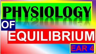 Physiology of Equilibrium Equilibrium Pathway Static amp Dynamic Equilibrium Anatomy Physiology Ear4 [upl. by Acissey]