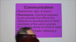 Lecture 10Pheromones and the Vomeronasal Organ [upl. by Koziara]