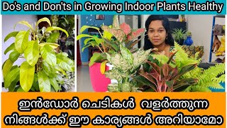 15 Tips to Grow Indoor Plants Healthy  Fertilizer  ഇൻഡോർ ചെടി ഭംഗിയോടെ വളർത്താൻ 15 ടിപ്സ് [upl. by Winer]