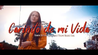 CARIÑITO DE MI VIDA  BALSAS MUSICAL Video Oficial [upl. by Ilamad350]