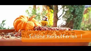 Schöne Herbstferien [upl. by Nilved764]