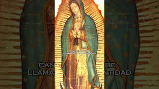 NUESTRA SEÑORA DE GUADALUPE Y EMPERATRIZ DE AMERICA [upl. by Plath333]