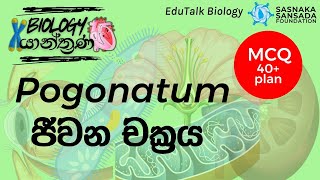 Pogonatum ජීවන චක්‍රය  Pogonatum Life Cycle  EduTalk Biology [upl. by Leal769]