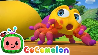 Itsy Bitsy Spider Baby Edition  CoComelon  Its Cody Time  CoComelon Nursery Rhymes [upl. by Nwahsyd833]